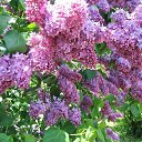 ���� �������, ������������, 52 ���� - ��������� 2 ���� 2014 � ������ ������ ��������