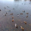 ���� ������, �����-��������� - ��������� 30 ������ 2014 � ������ ���� ����������