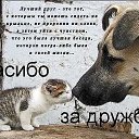 ���� ������, ������, 53 ���� - ��������� 17 ���� 2014 � ������ ������ ��������