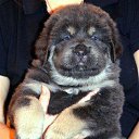 ���� ������, ��������� - ��������� 24 ��� 2014 � ������ ���� ����������