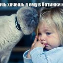���� �������, ��������� - ��������� 11 ������ 2014 � ������ ���� ����������