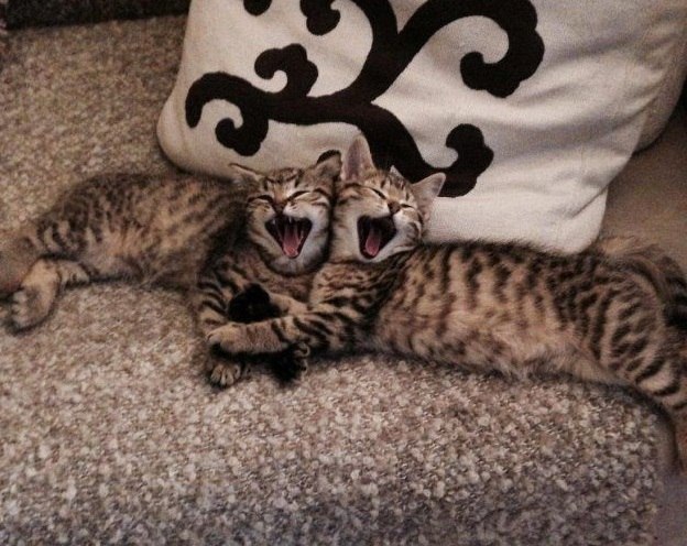   :3