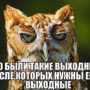 ���� ����, ������ - ��������� 28 ������ 2014 � ������ ������ ��������
