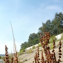 ���� �����, ������� - ��������� 18 ������� 2014 � ������ �17.08.2014�.�