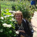 ���� ������, ������, 54 ���� - ��������� 6 ������� 2014 � ������ ���� ����������