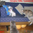 ���� �������, ������, 47 ��� - ��������� 20 ���� 2014 � ������ ���� ��������� ���������� ���� � �������������