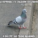 ���� ������, ������, 39 ��� - ��������� 21 ���� 2014 � ������ ������ ��������