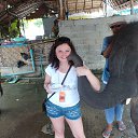  , , 44  -  11  2014    2014