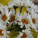 ���� ������, ������, 76 ��� - ��������� 28 ������ 2014