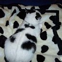 ���� Cshohkolad, ������ - ��������� 10 ���� 2014 � ������ ������ ��������