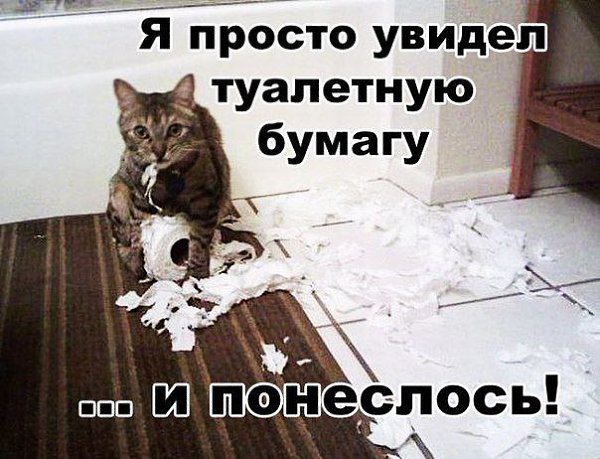   : fotostrana.ru/public/232203 ;-)