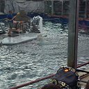  ,  , 23  -  17  2014    