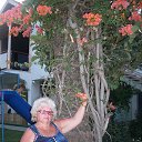 ���� �������, ������, 71 ��� - ��������� 8 ������� 2014 � ������ ���� ����������