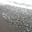  , -, 59  -  11  2014    