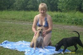 ���� ������, �����������, 61 ��� - ��������� 3 ������ 2014