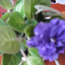 ���� �����, ������ �������� - ��������� 22 ����� 2014 � ������ �������