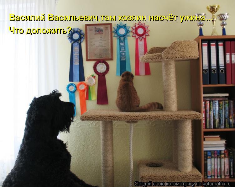 Marina - 24  2014  07:08