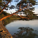 ���� ������, ����� - ��������� 12 ���� 2014 � ������ ������ ��������