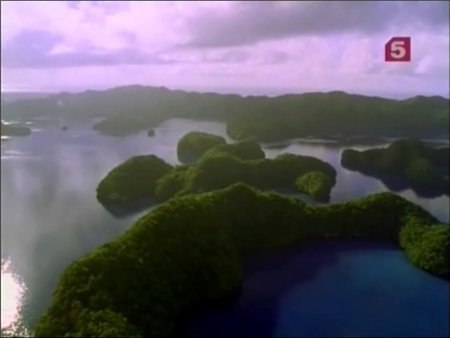  .   . (BBC: The Natural World. Incredible Suckers)  ... - 2