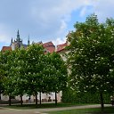 ���� ������, �������, 61 ��� - ��������� 18 ��� 2014 � ������ ���� ����������