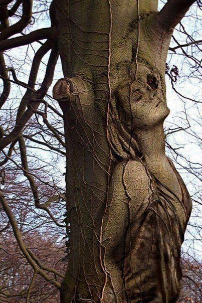 Tree Art - 3