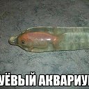 ���� �����, ������, 40 ��� - ��������� 10 ���� 2014 � ������ ������ ��������