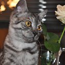 ���� Elena, ������, 62 ���� - ��������� 15 ������� 2014 � ������ ���� ����������