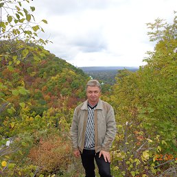 ���������, �����������, 65 ���