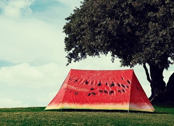 Летняя палатка - Хитрости жизни!, №214760701 | Фотострана – cайт .