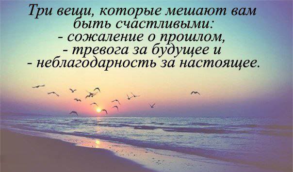  - 21  2014  19:16