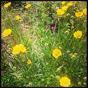 ���� ������, �����, 47 ��� - ��������� 2 ���� 2014 � ������ ������ ��������