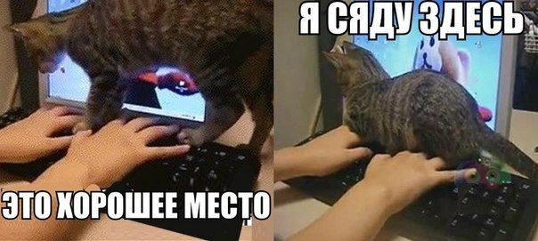   | , ,  - 6  2014  17:53