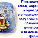 ���� ����, �����-���������, 40 ��� - ��������� 26 ��� 2014 � ������ ������ ��������