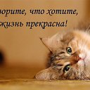 ���� ����, ����, 65 ��� - ��������� 4 ��� 2014 � ������ ������ ��������