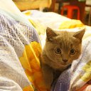  ,  , 46  -  16  2014    