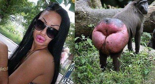 ,   !!!  ....))))