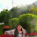  Elena, , 40  -  1  2014    