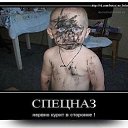 ���� �������, ����-���������, 53 ���� - ��������� 23 ��� 2014 � ������ ������ ��������