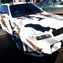 ����� � ����� �� ������� ���� ����������