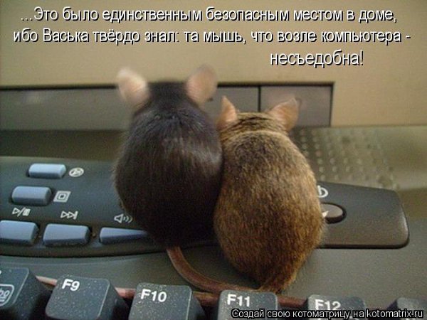 /zev/null - 29 ��� 2014 � 12:59