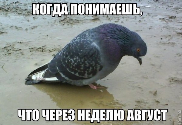 ,  ....