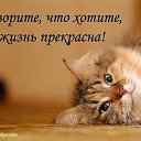 ���� ������� �, ��������, 59 ��� - ��������� 7 ������ 2014 � ������ ���� ����������