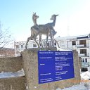 ���� Ivan, �����, 41 ��� - ��������� 27 ����� 2014 � ������ ���� ����������