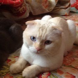 ���� �����, ����� - ��������� 7 ���� 2014