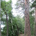 ���� ������� �� �������!!!, ��������� - ��������� 13 ������� 2014 � ������ ���� ����������