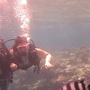 ���� ���������, ������, 43 ���� - ��������� 23 ��� 2014 � ������ ��������, ������� 2014�