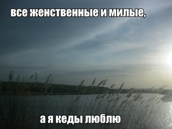   - 29  2014  04:26
