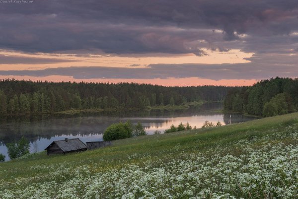 Кенозеро в Архангельской области. Июнь. Разноцветье трав ковром покрыло землю русского Севера. ... - 2