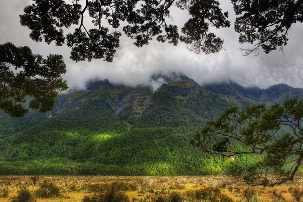 New Zeland - 5