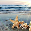 ���� Lia, ������ - ��������� 17 ���� 2014 � ������ ���� ����������